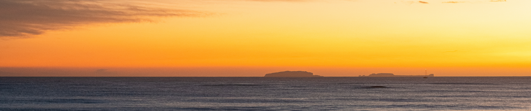 Spending the Holidays in Punta Mita? Here’s What Not to Miss!